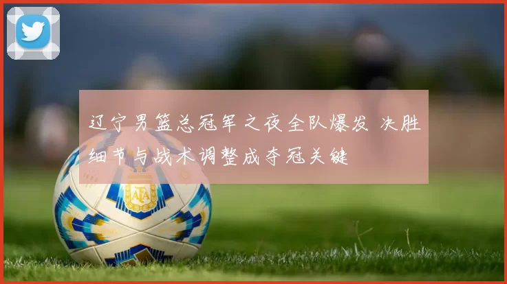 辽宁男篮总冠军之夜全队爆发 决胜细节与战术调整成夺冠关键