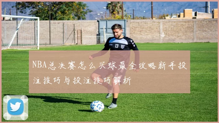 NBA总决赛怎么买球最全攻略新手投注技巧与投注技巧解析