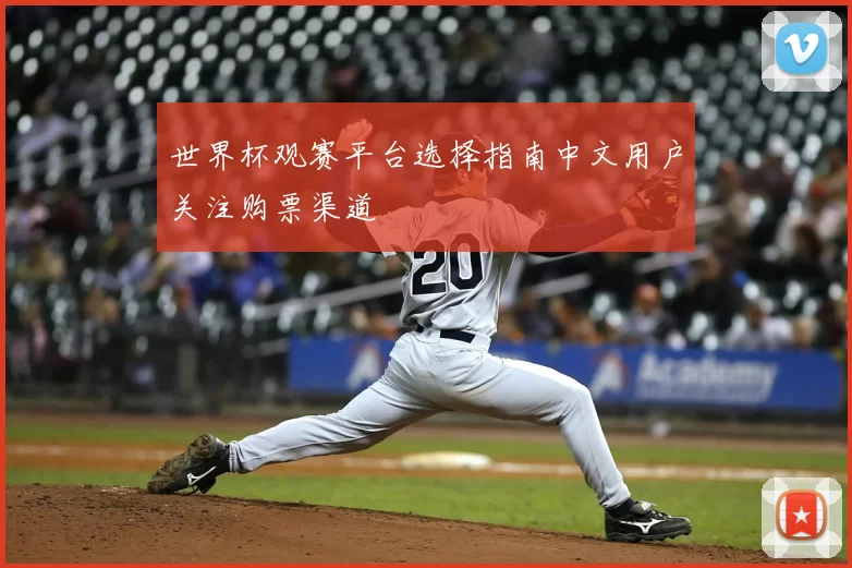 世界杯观赛平台选择指南中文用户关注购票渠道