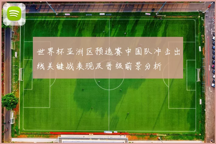 世界杯亚洲区预选赛中国队冲击出线关键战表现及晋级前景分析