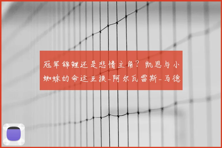 冠军锦鲤还是悲情主角？凯恩与小蜘蛛的命运互换_阿尔瓦雷斯_马德里竞技_奖杯