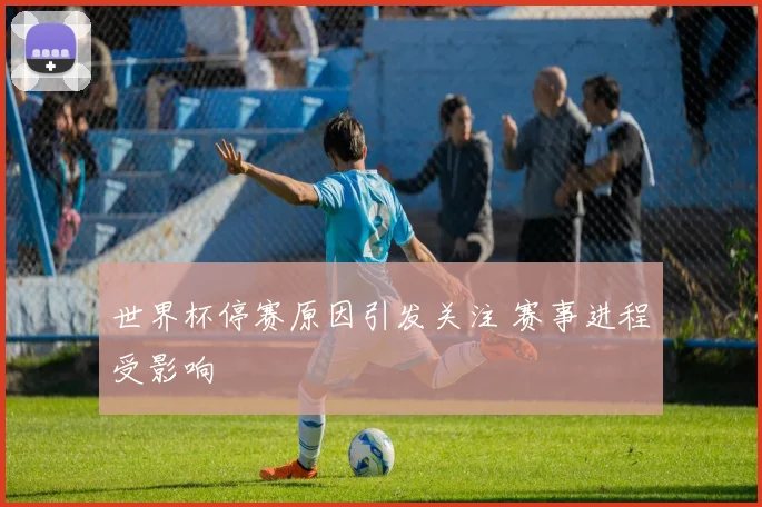 世界杯停赛原因引发关注 赛事进程受影响